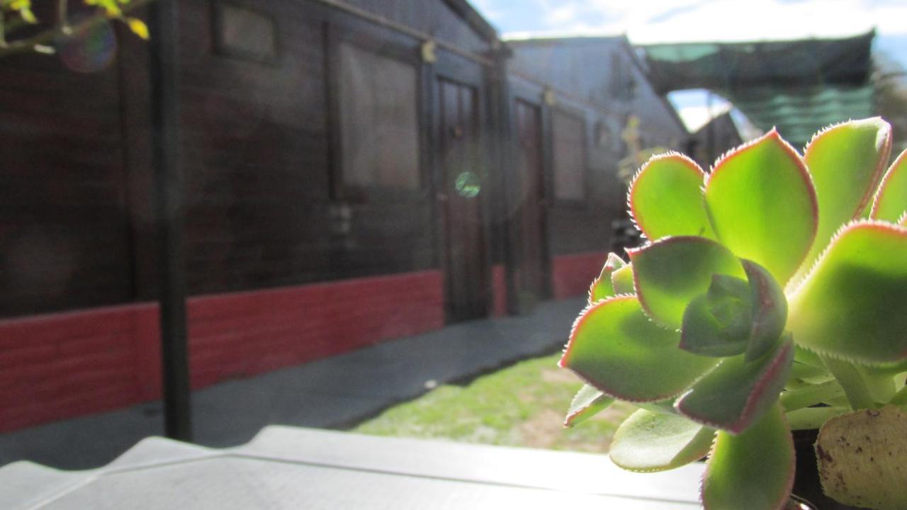 Hostal Del Suri Cafayate Exteriör bild